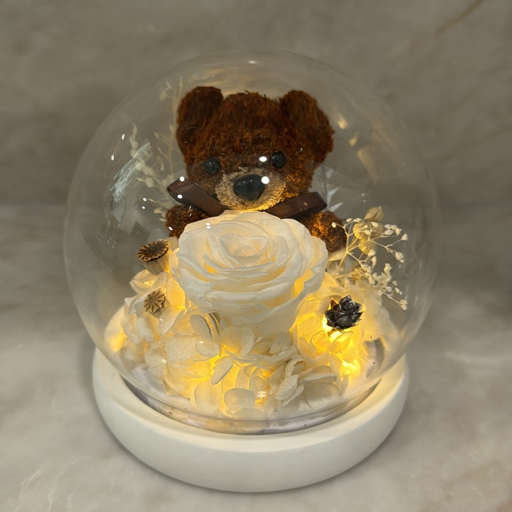 Brown Teddy Bear in Glass Dome with White Flowers. Lights up